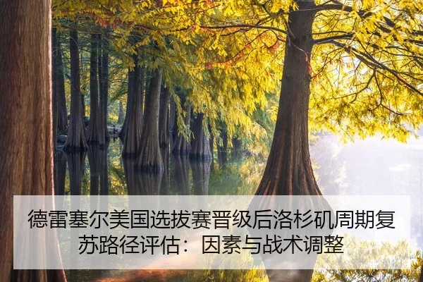 de-lei-sai-er-mei-guo-xuan-ba-sai-jin-ji-hou-luo-shan-ji-zhou-qi-fu-su-lu-jing-ping-gu-yin-su-yu-zhan-shu-tiao-zheng-2-774.jpg